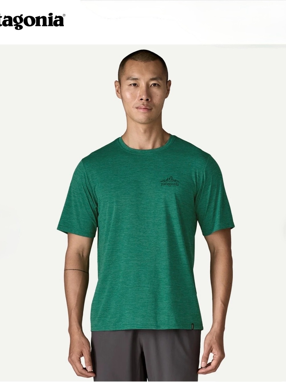 Nwt Patagonia Men's Capilene® Cool
Daily Shirt - Cloud Crag size XL - Picture 2 of 6